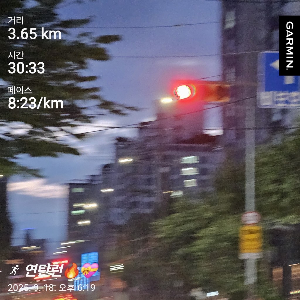 컨텐트 이미지