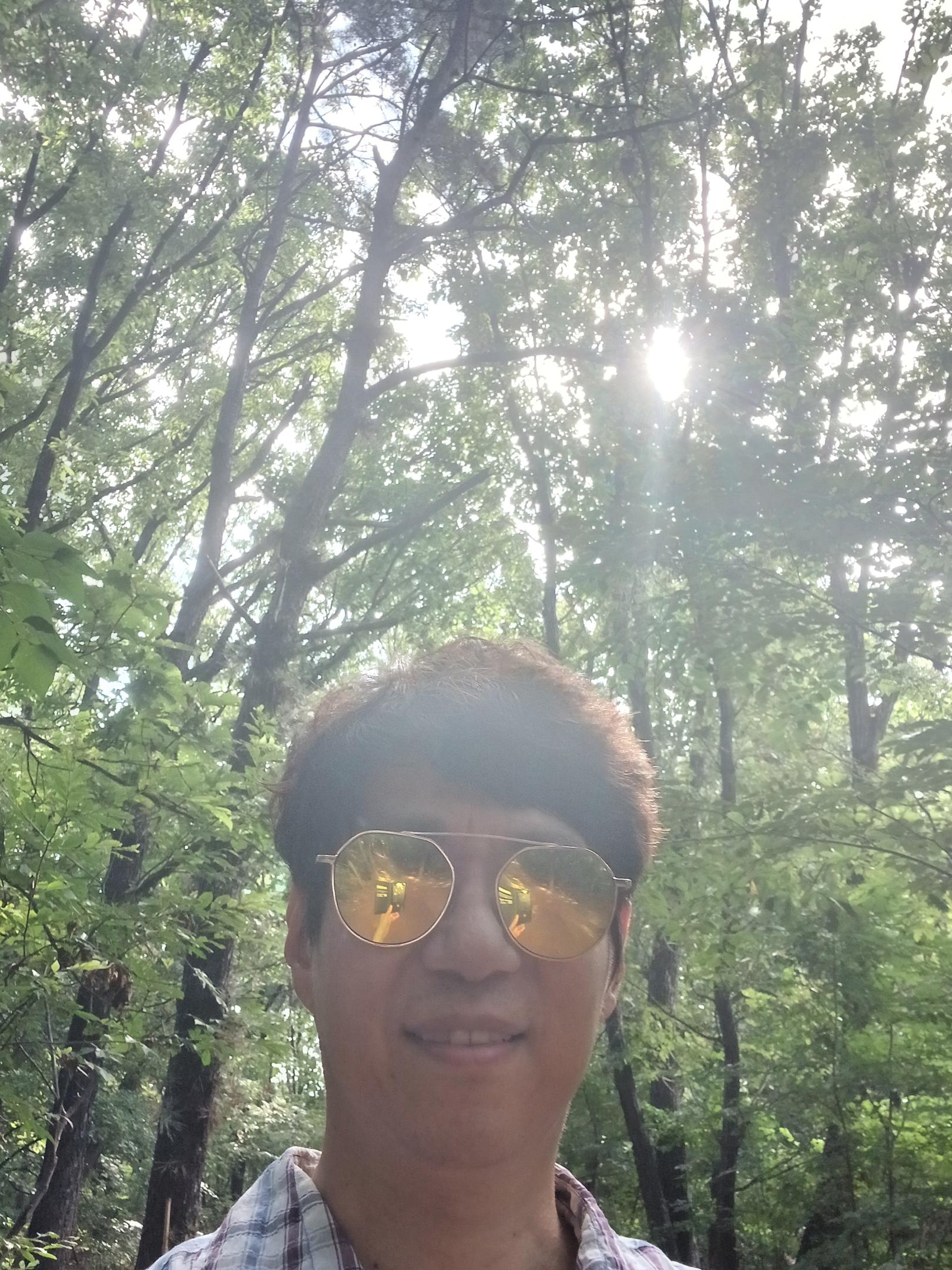 사진