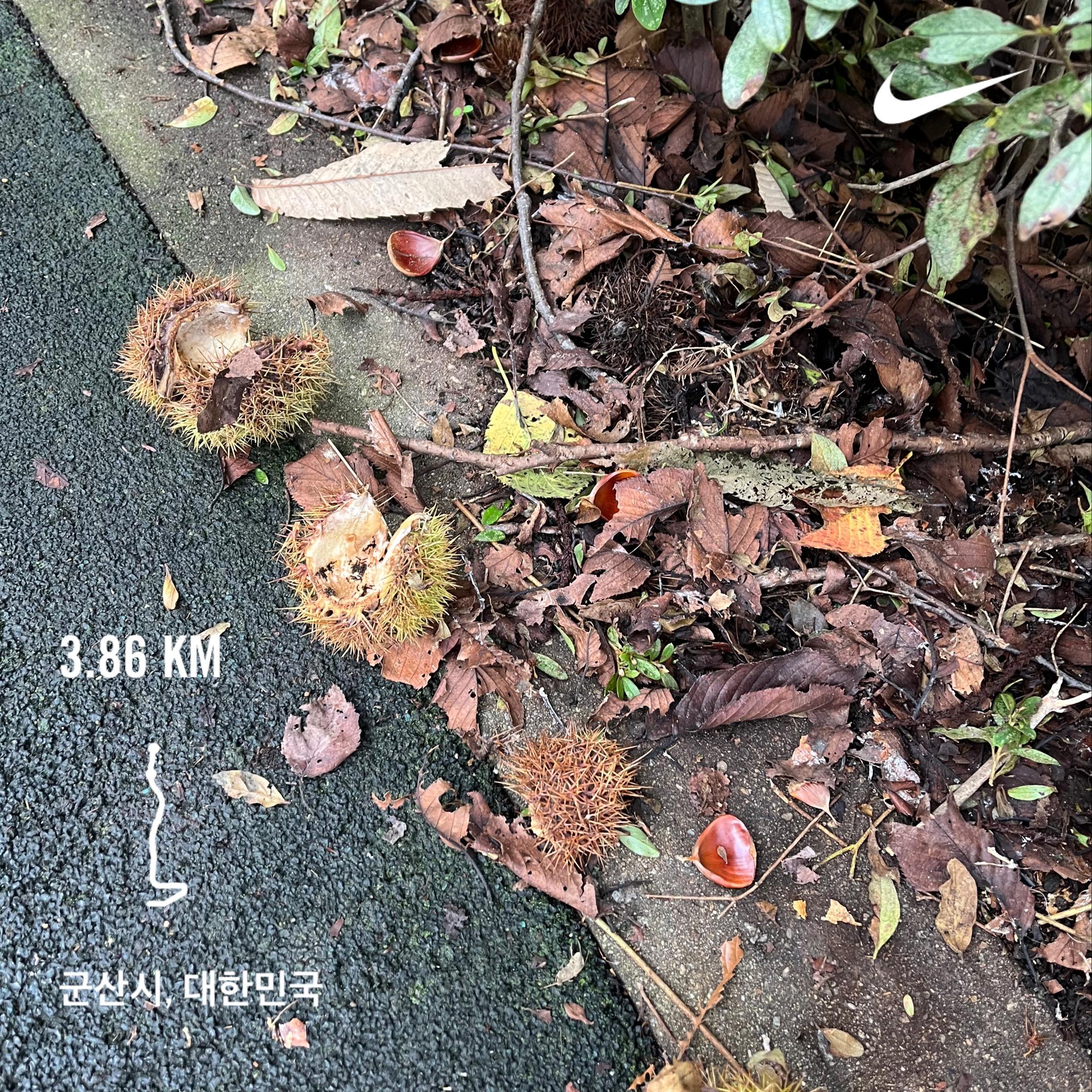 컨텐트 이미지
