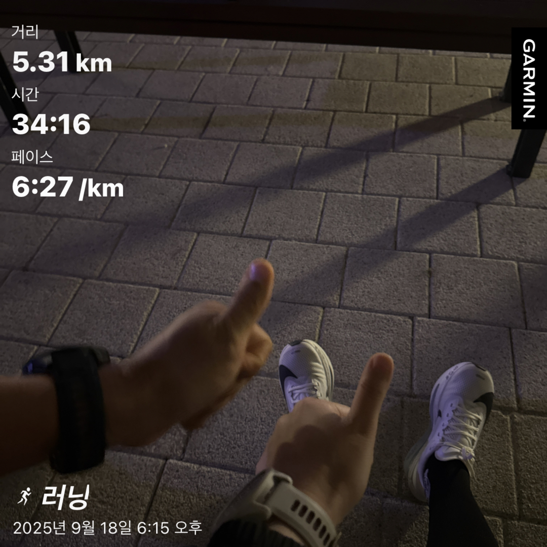 컨텐트 이미지