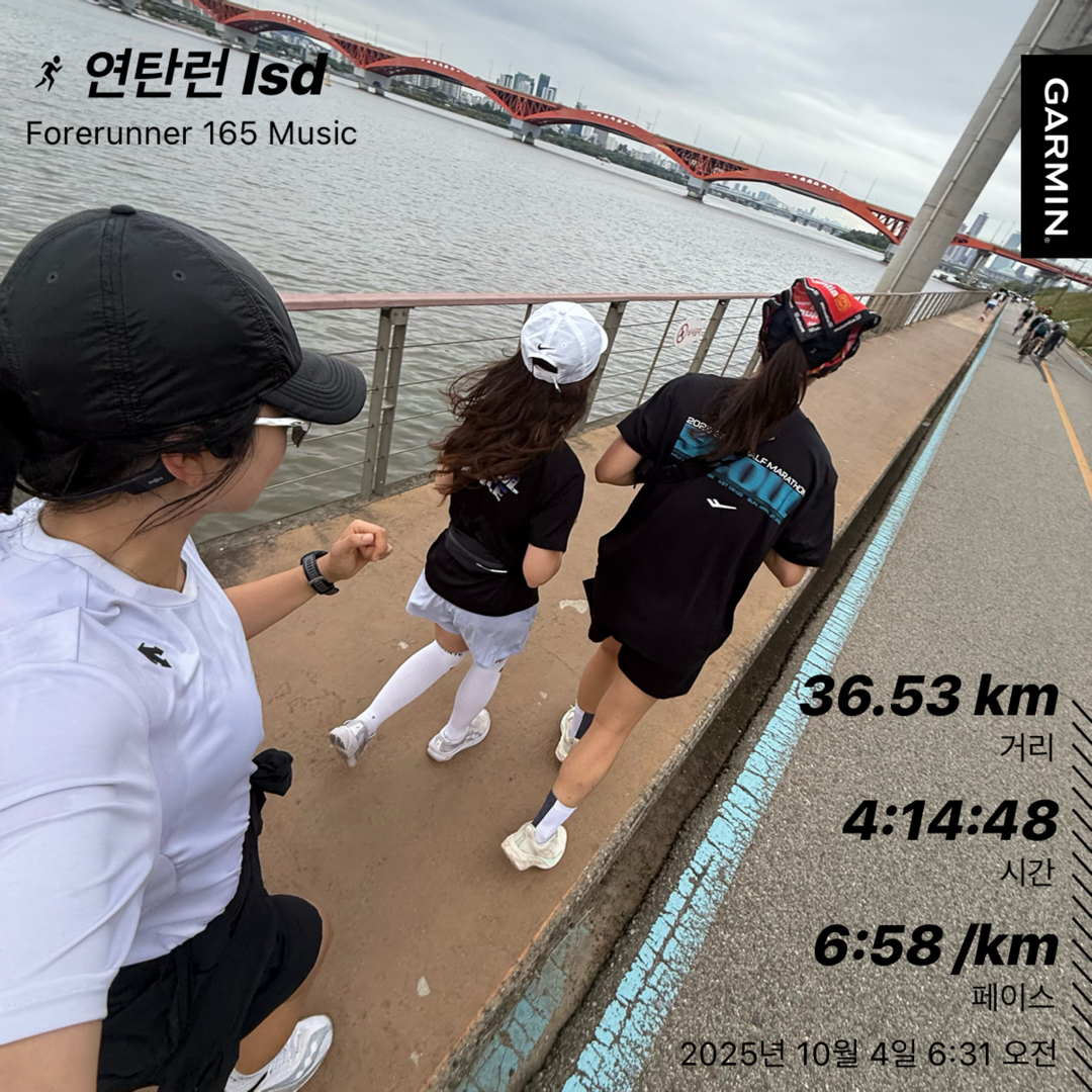 컨텐트 이미지
