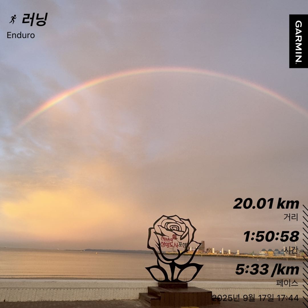 컨텐트 이미지