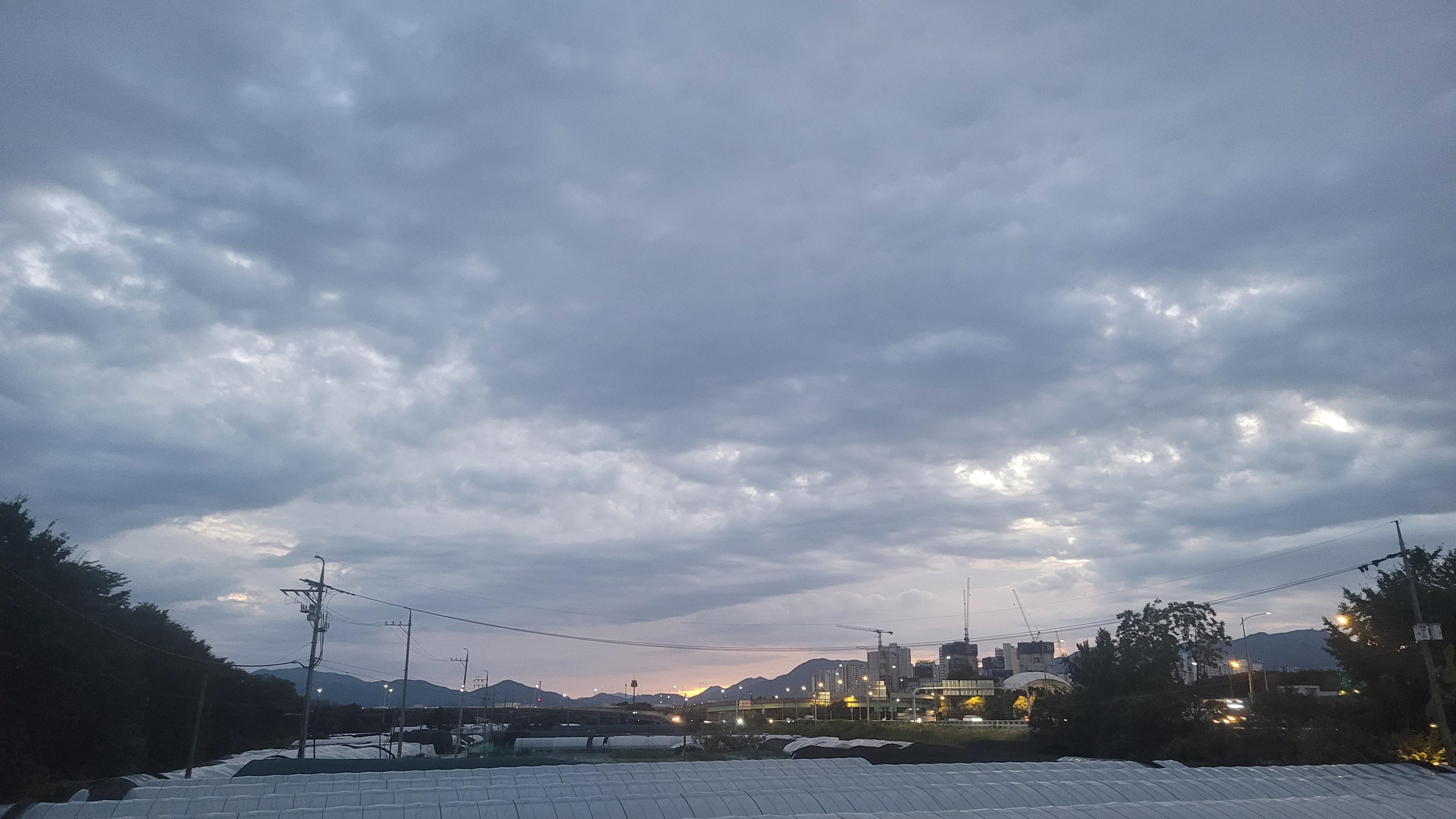 컨텐트 이미지