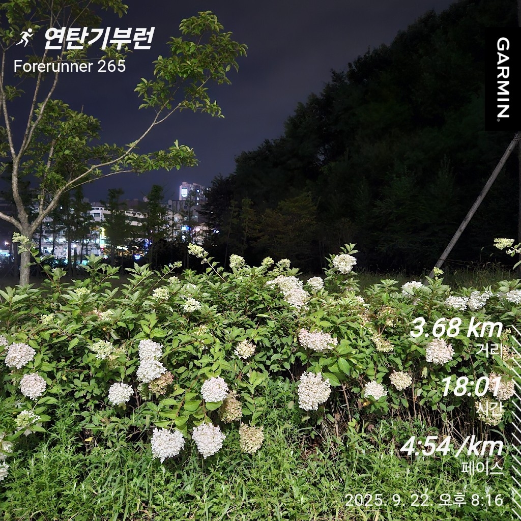 컨텐트 이미지