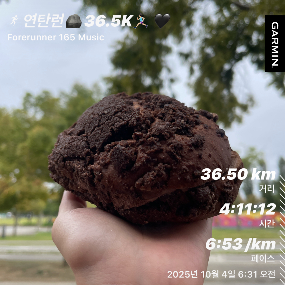 컨텐트 이미지