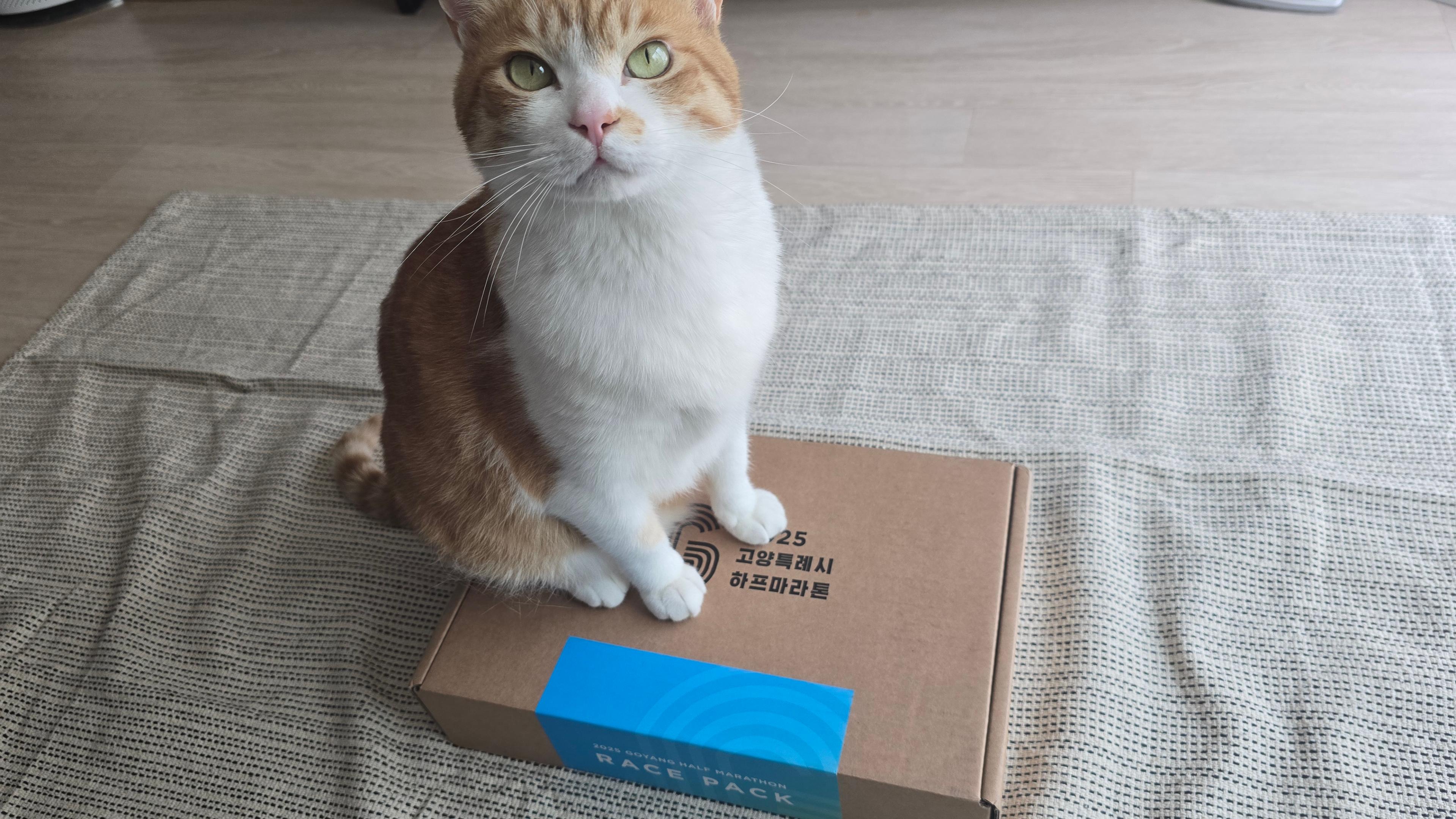 컨텐트 이미지