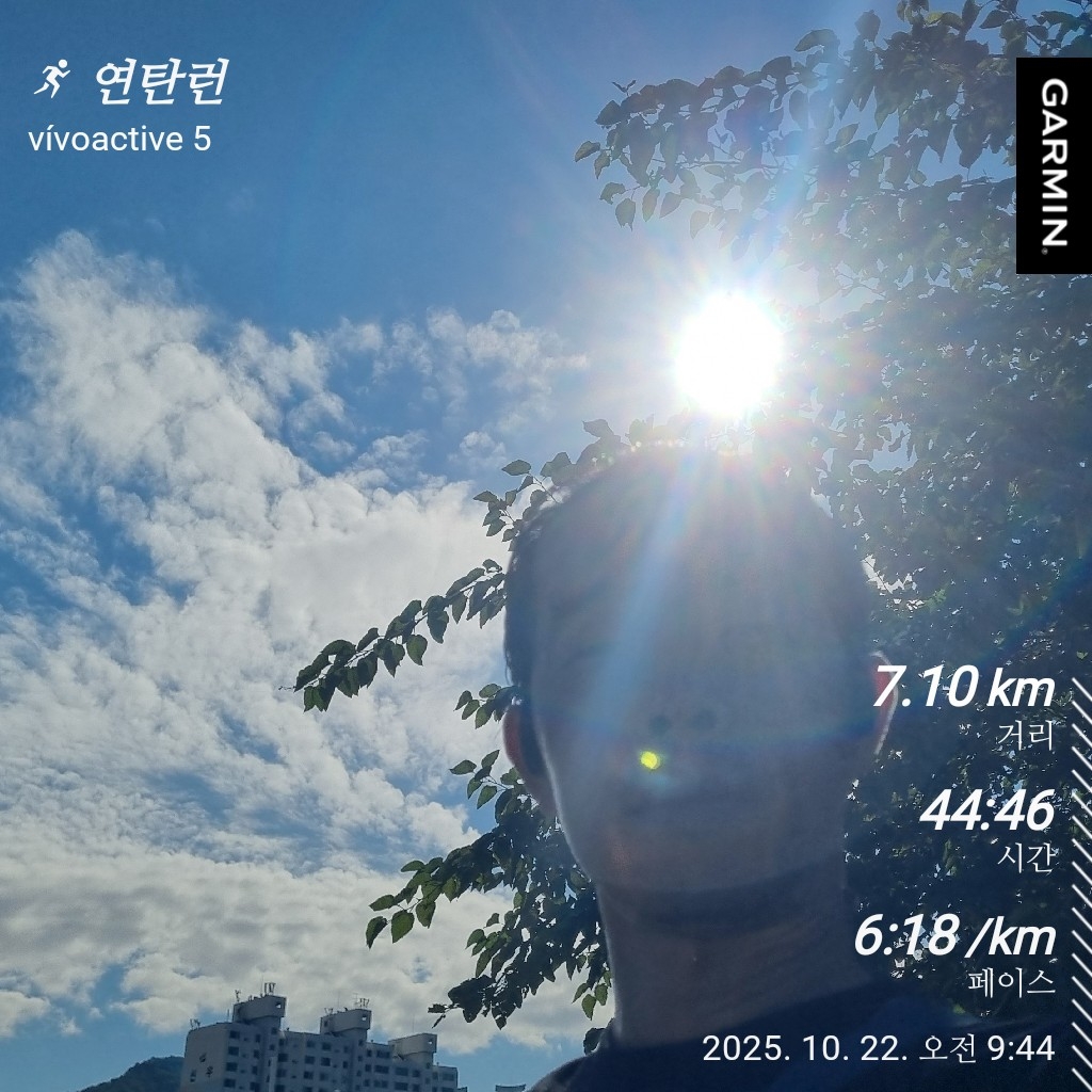컨텐트 이미지