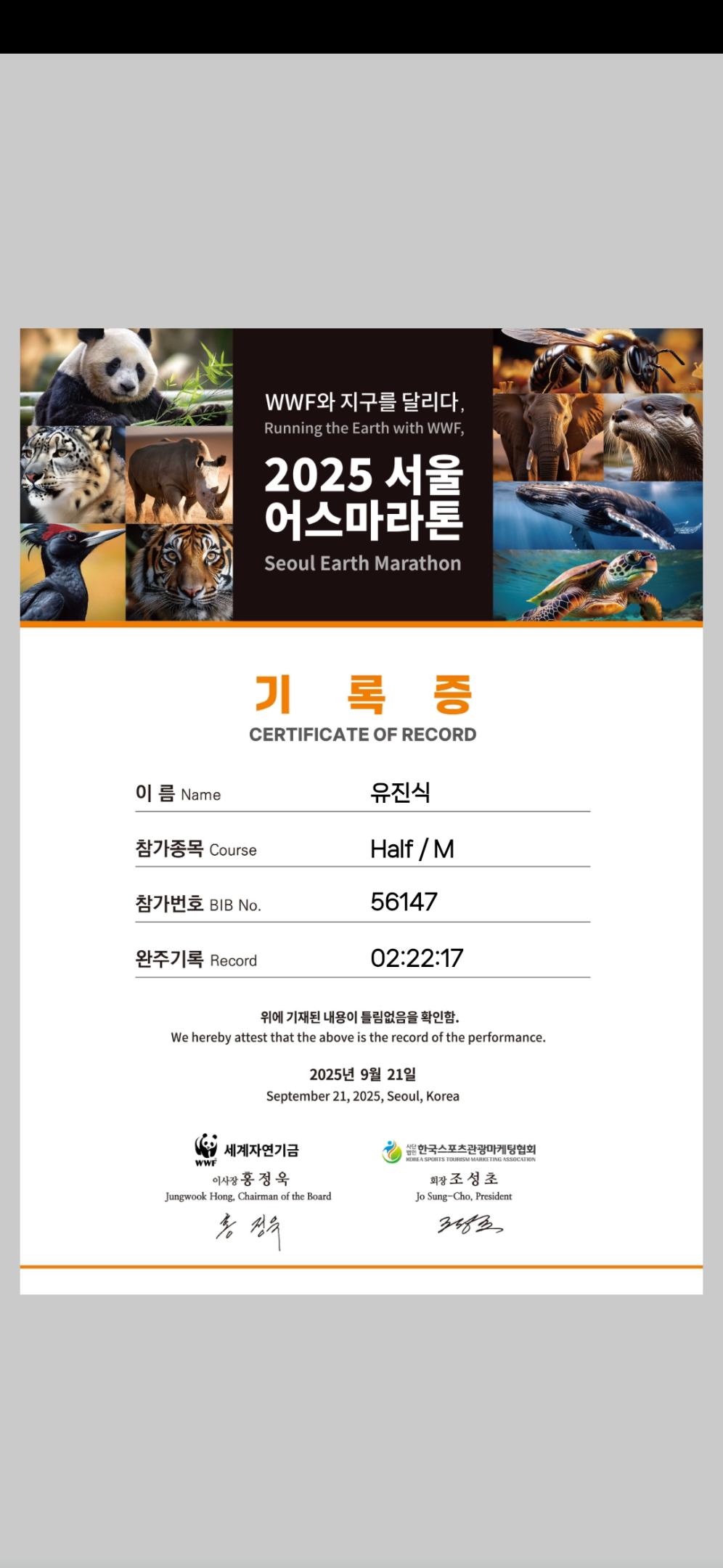 컨텐트 이미지