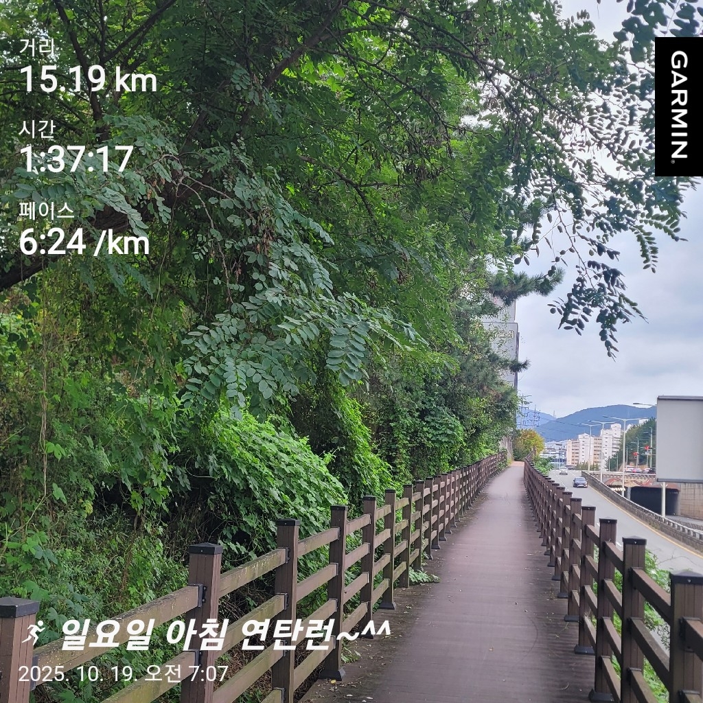컨텐트 이미지