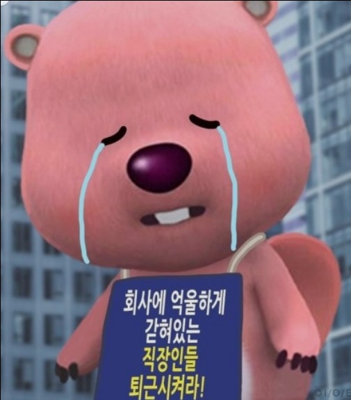컨텐트 이미지