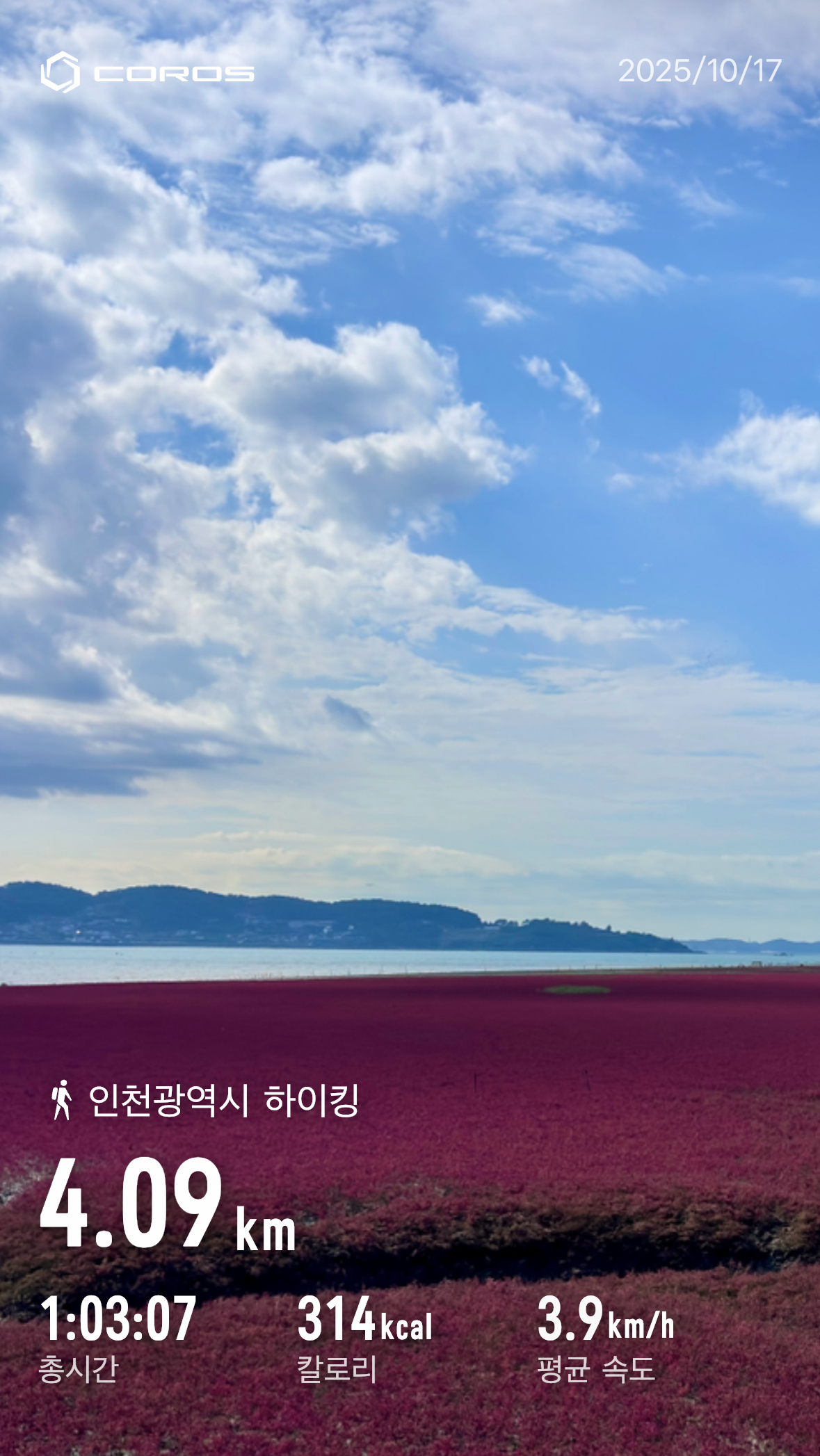 컨텐트 이미지