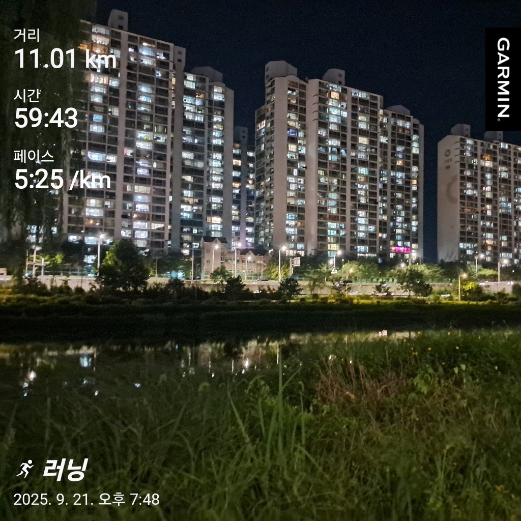 컨텐트 이미지