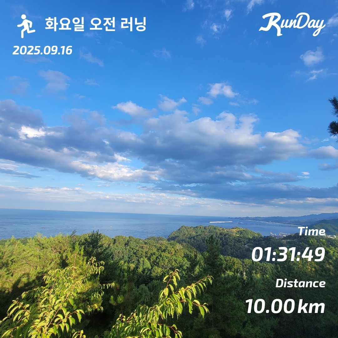 컨텐트 이미지