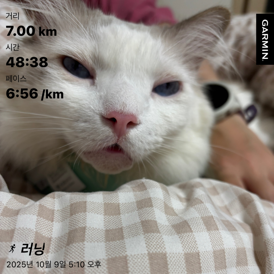 컨텐트 이미지