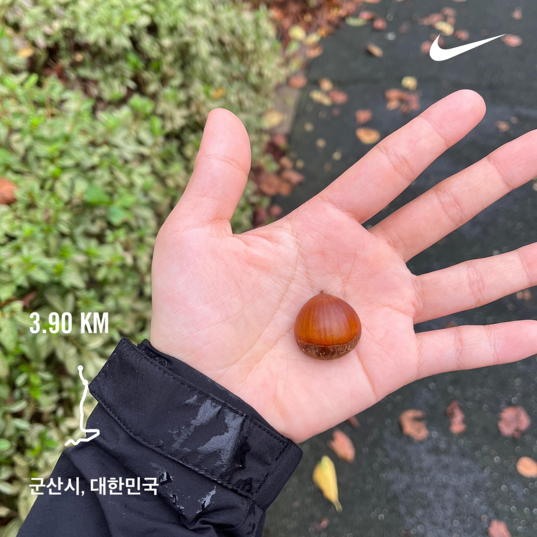 컨텐트 이미지