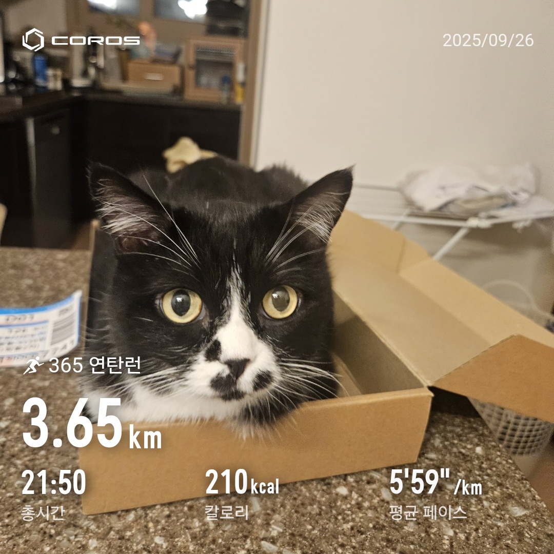 컨텐트 이미지
