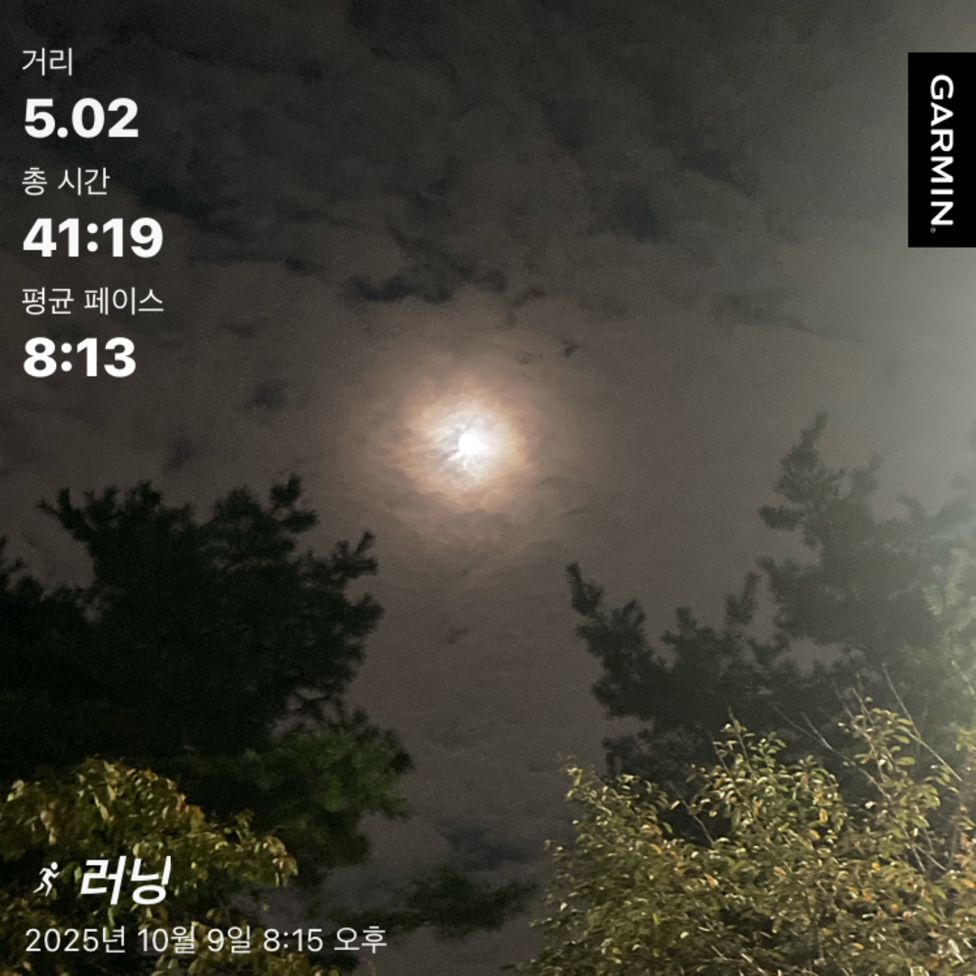 컨텐트 이미지