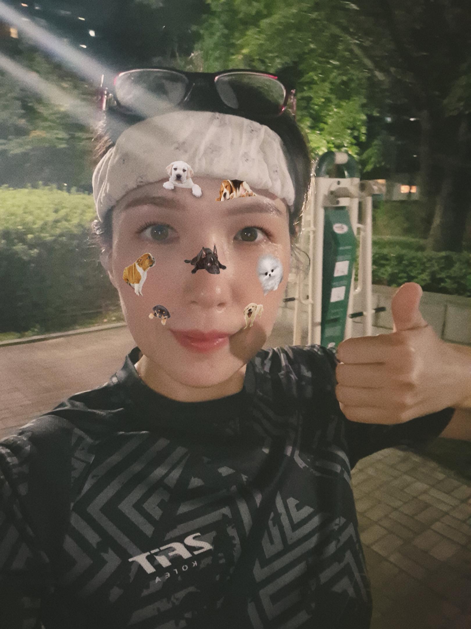 사진