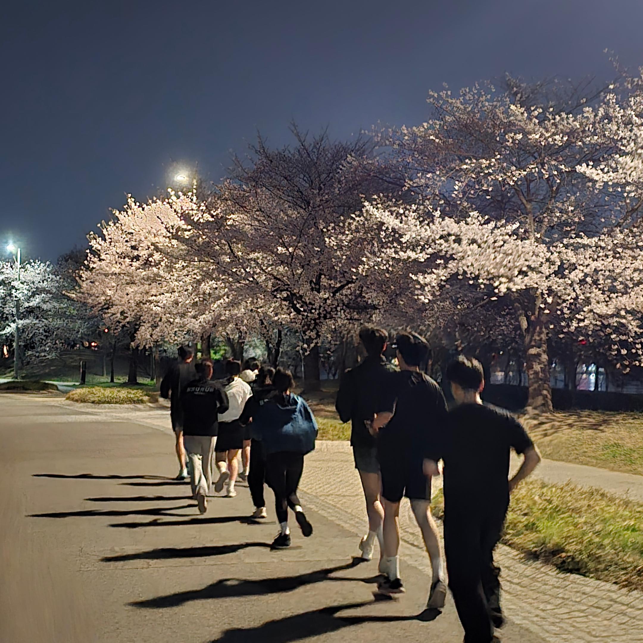 컨텐트 이미지
