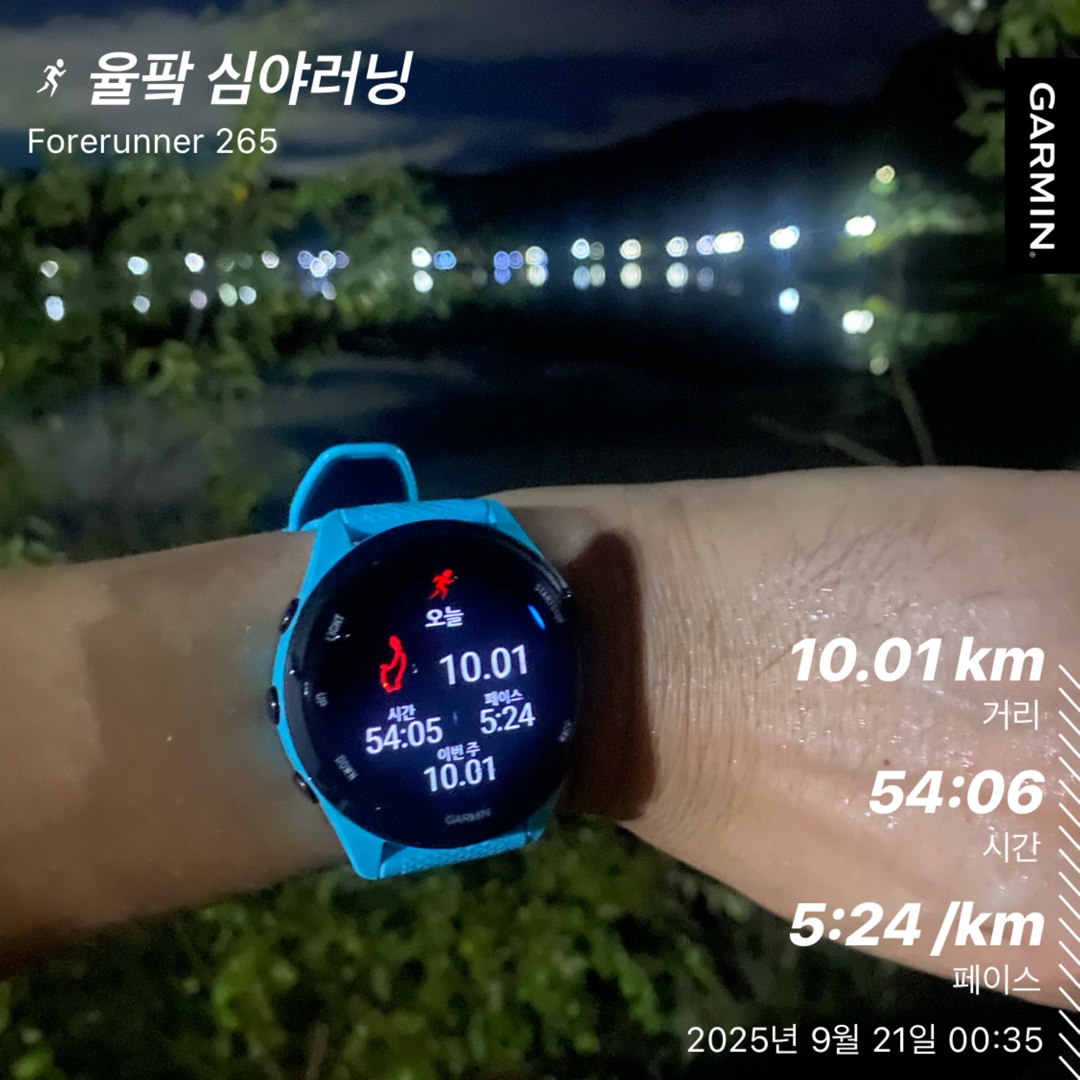 컨텐트 이미지