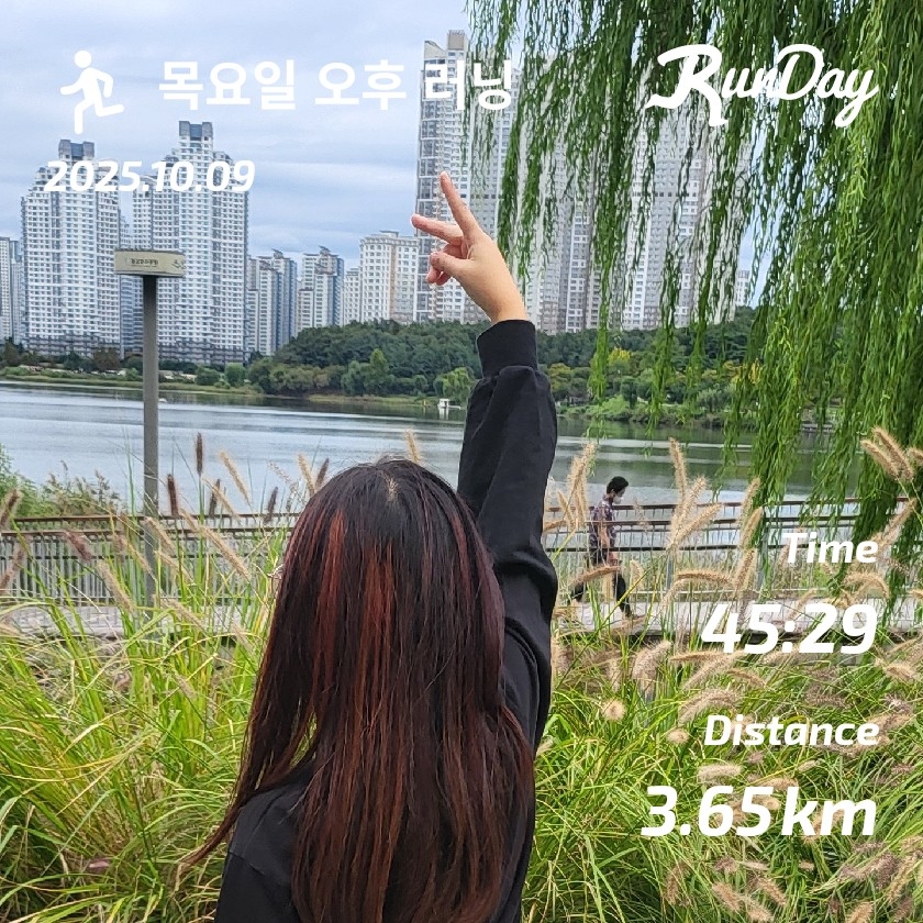 컨텐트 이미지