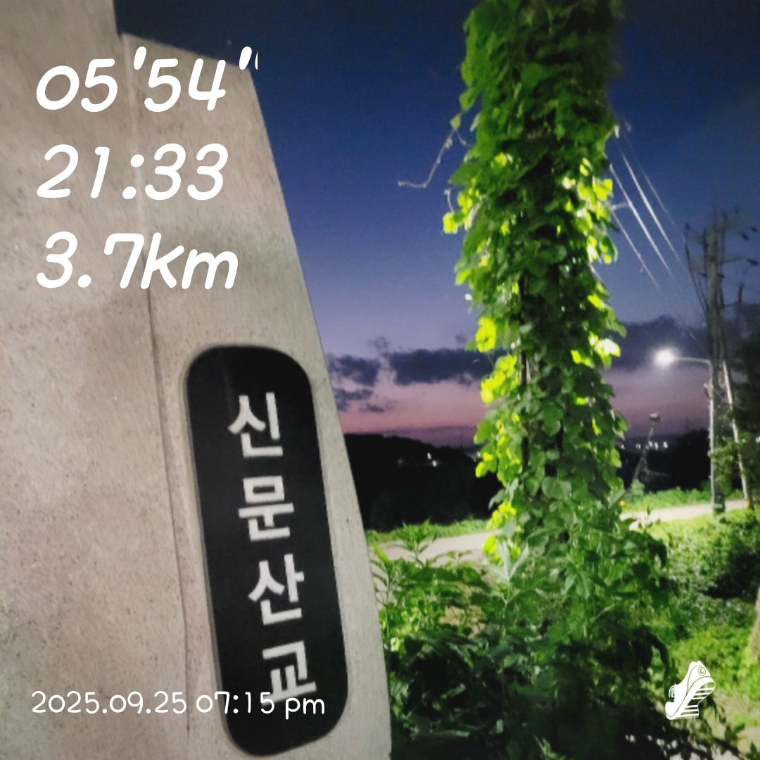 컨텐트 이미지