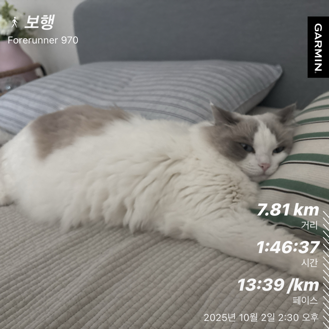 컨텐트 이미지