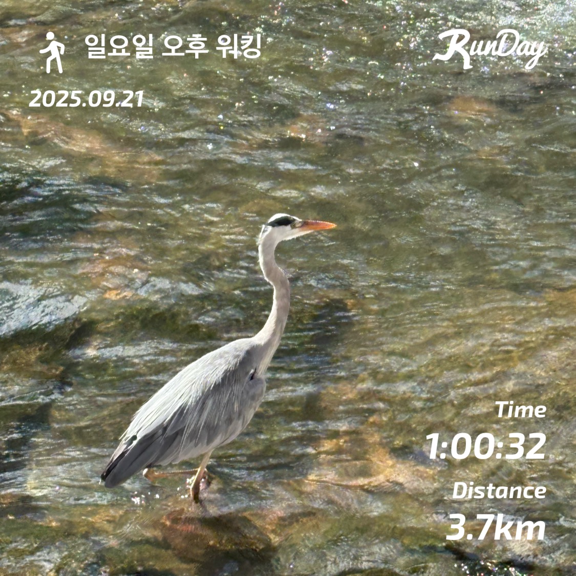 컨텐트 이미지