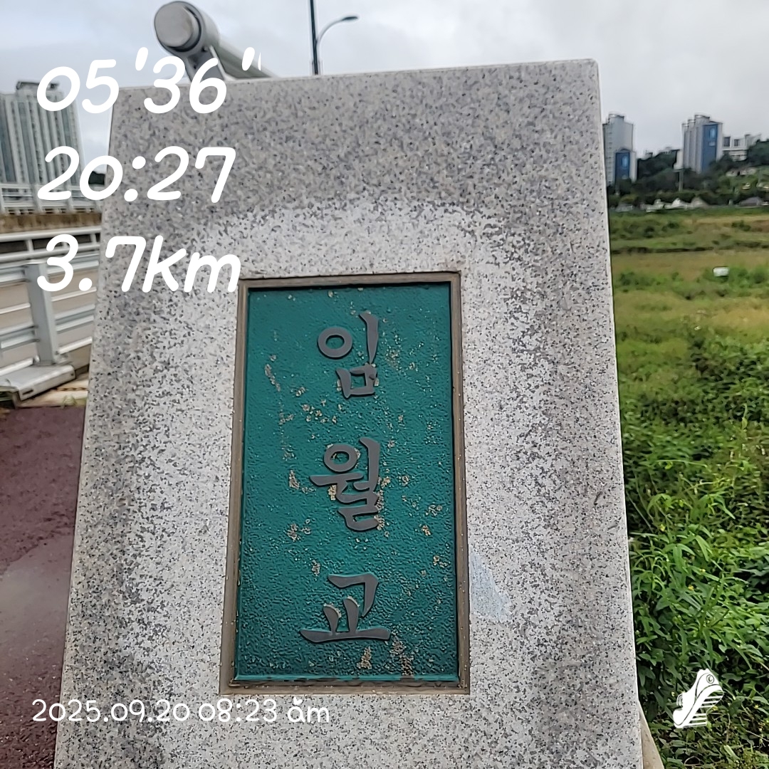 컨텐트 이미지