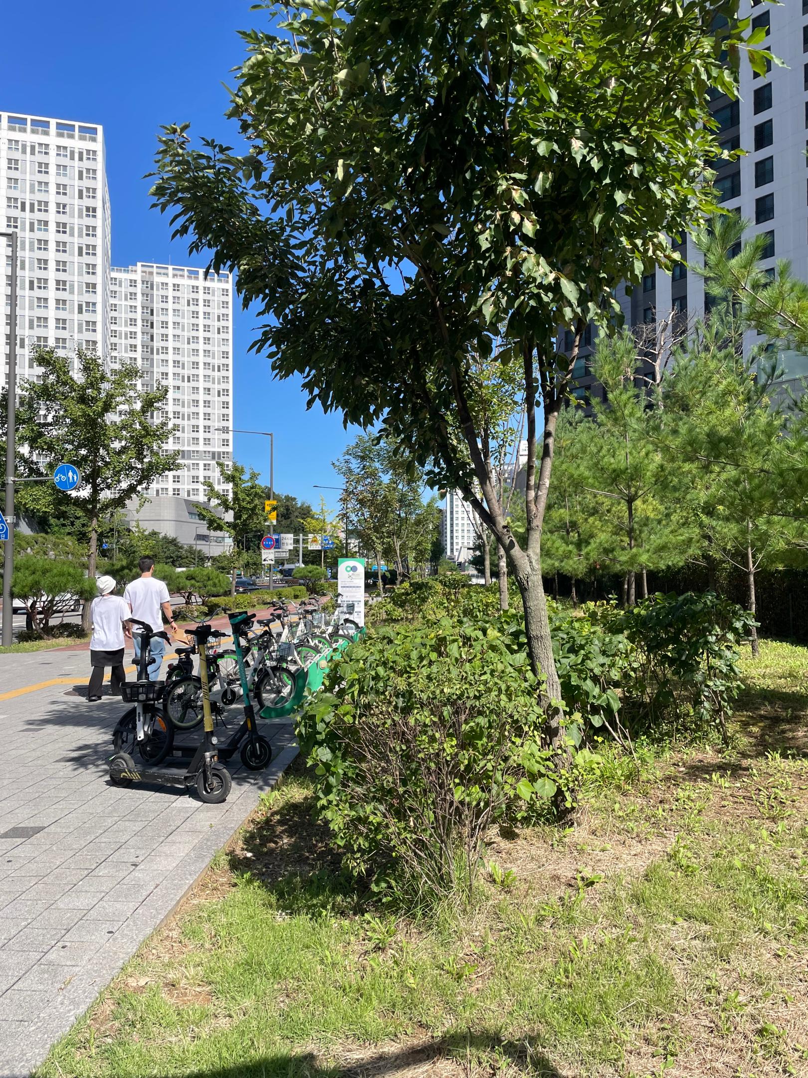 컨텐트 이미지