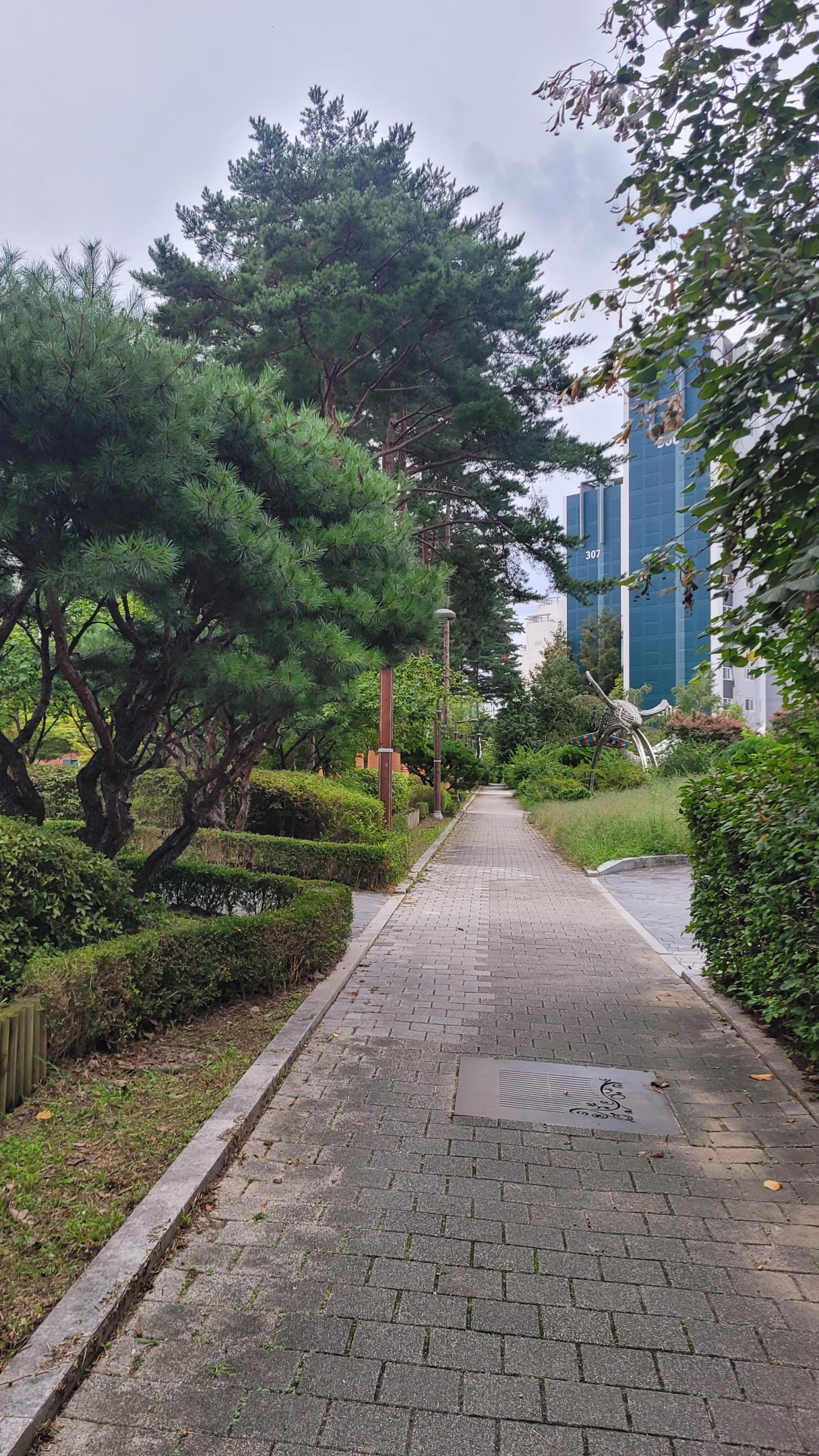 컨텐트 이미지