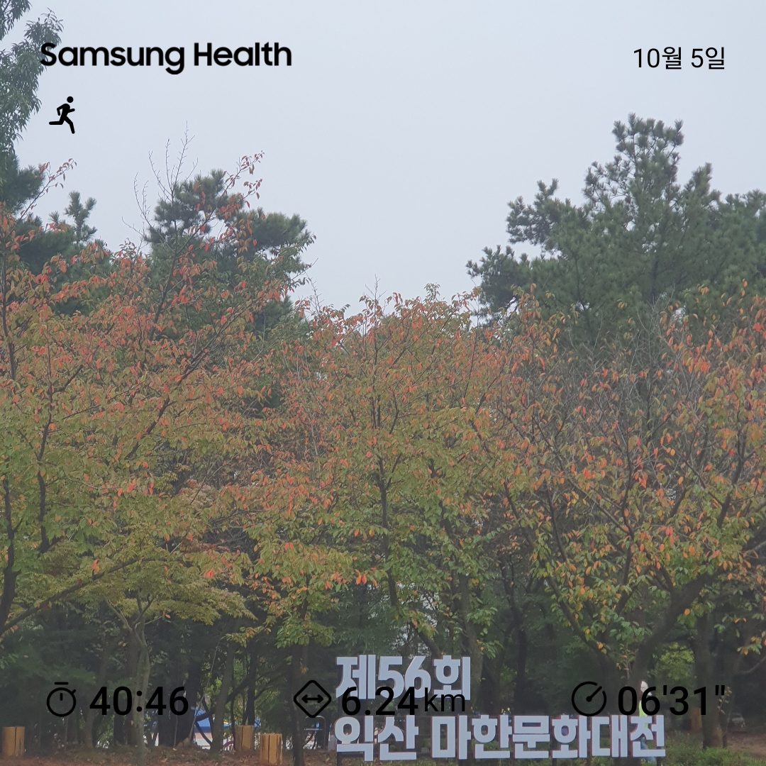 컨텐트 이미지