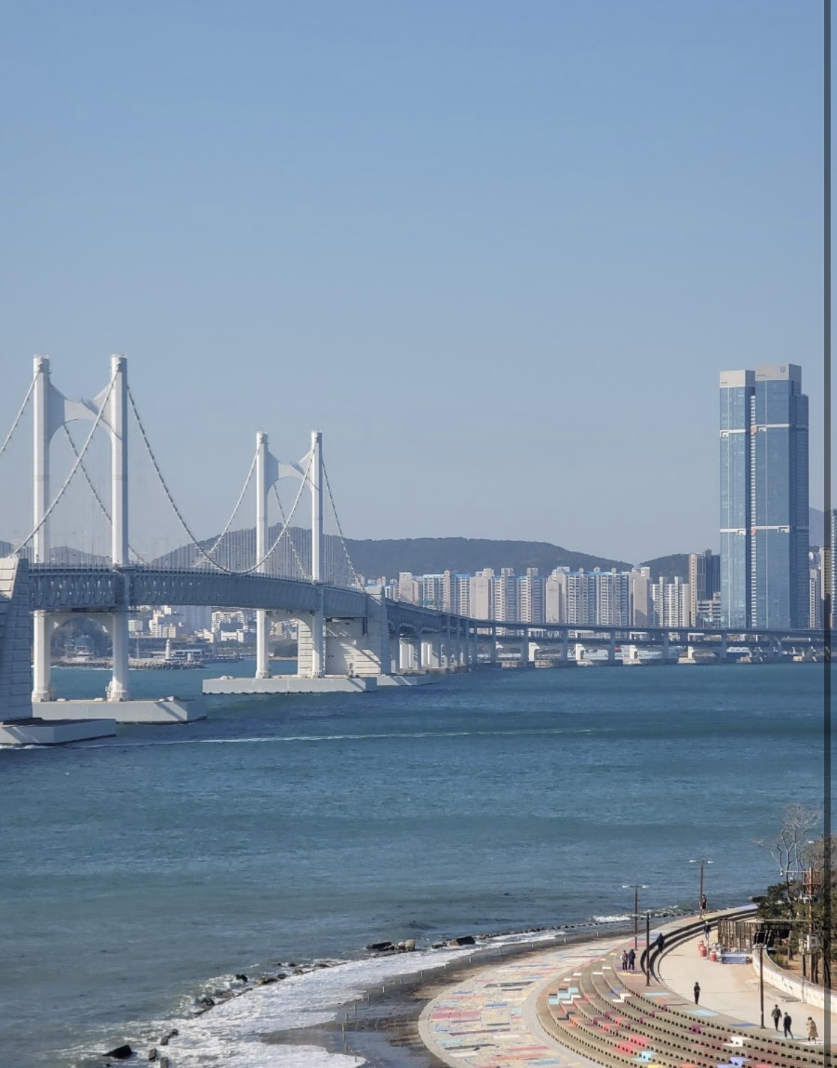 컨텐트 이미지