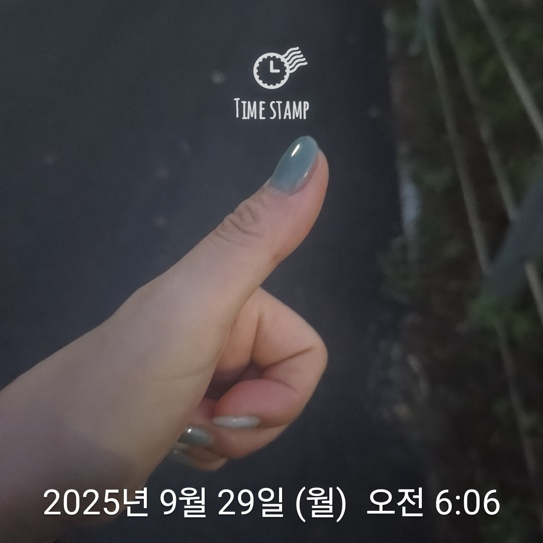 컨텐트 이미지