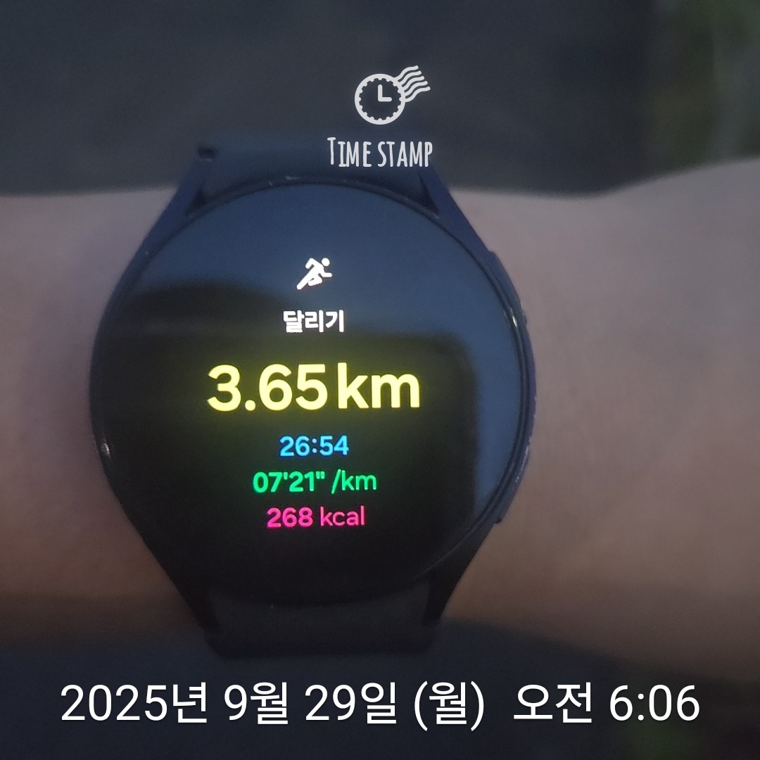 컨텐트 이미지