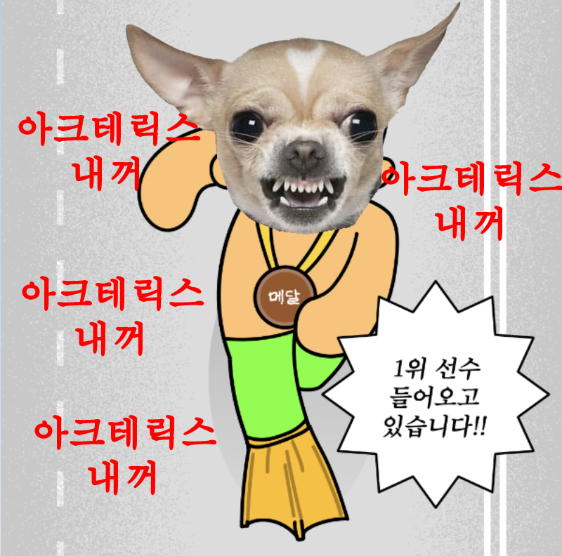 컨텐트 이미지