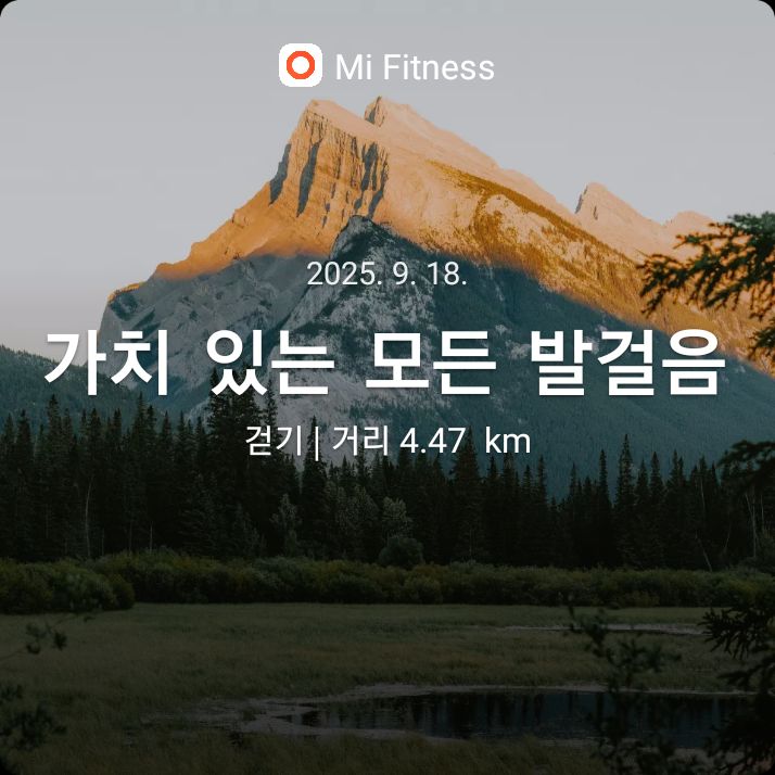 컨텐트 이미지