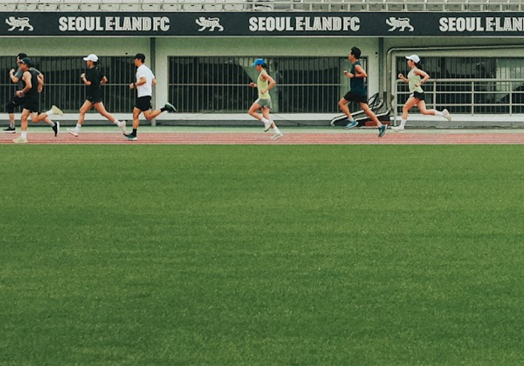 베가베리 기획전
