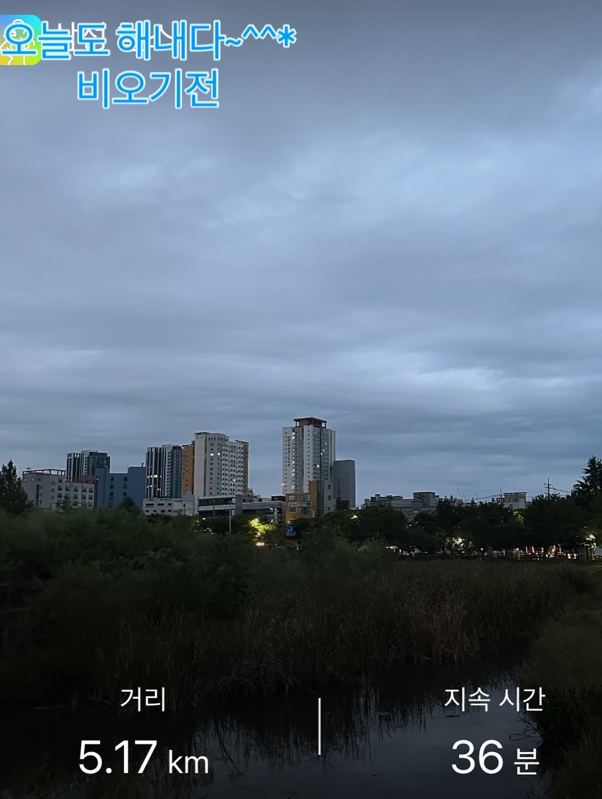 컨텐트 이미지