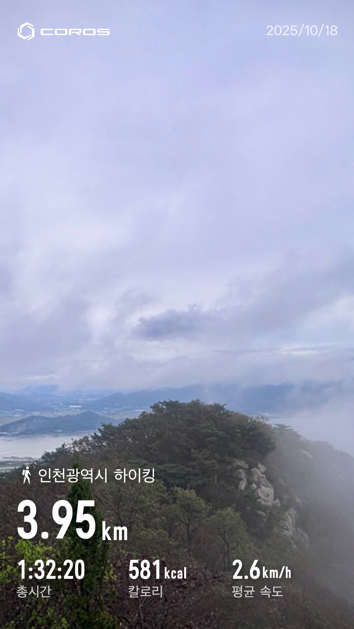컨텐트 이미지